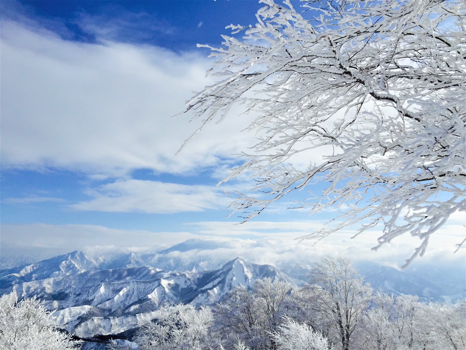 山から見る雪景色